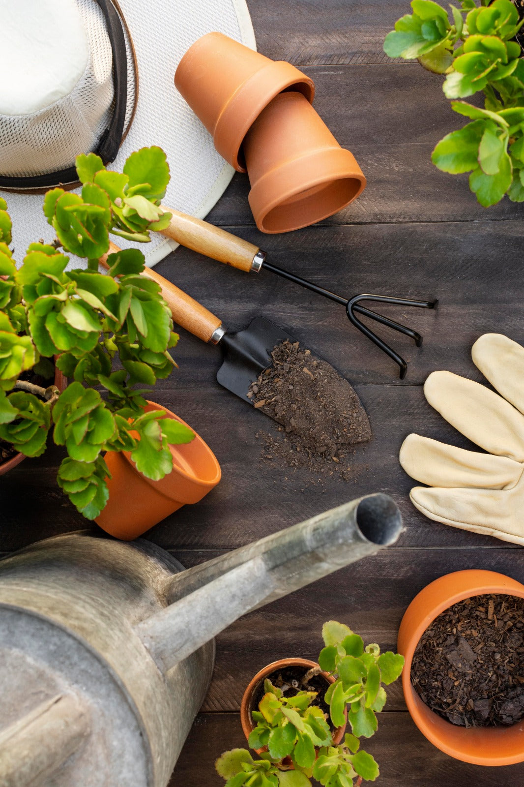 Casa e Giardino: La Guida Completa di Edil Russo